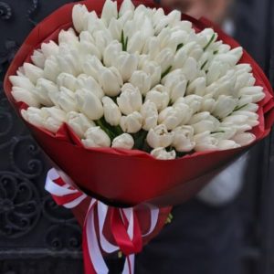 100 white tulips