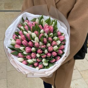 101 tulips