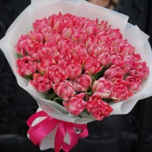 50 pink tulips