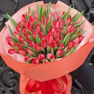 50 red tulips