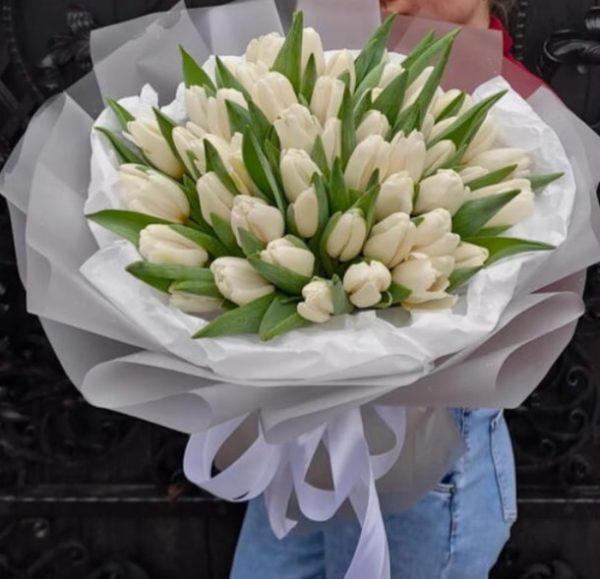 50 white tulips