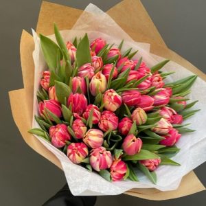 Columbus 40 tulips