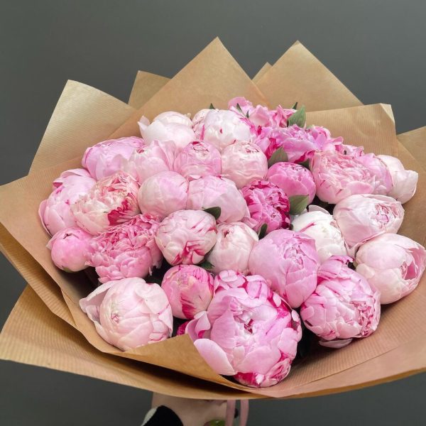 36 Pink Peonies