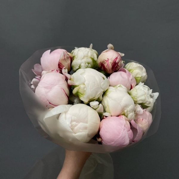 12 Peonies Mix